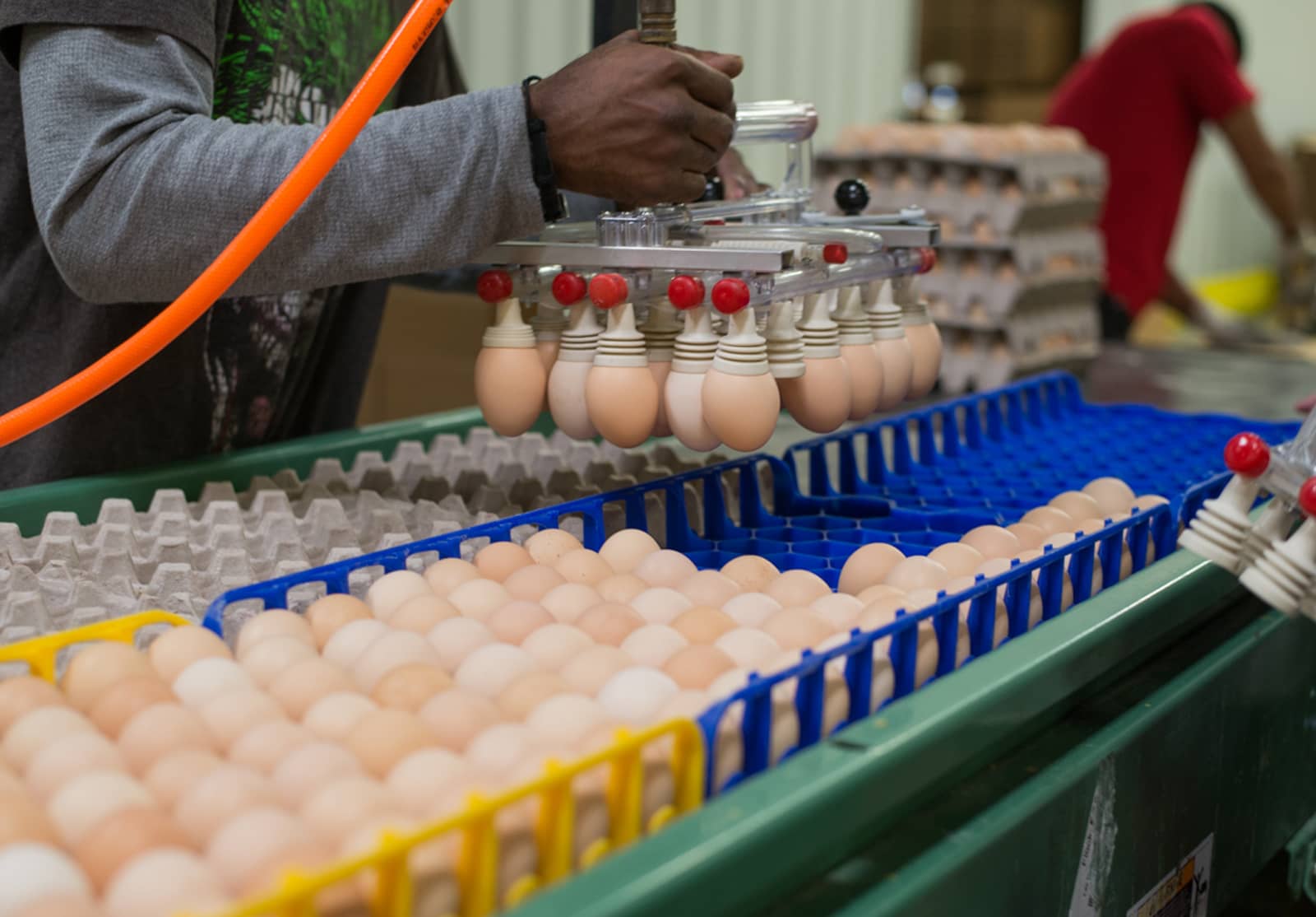 Keith Smith Company | Aileron Keith Smith Company | Aileron